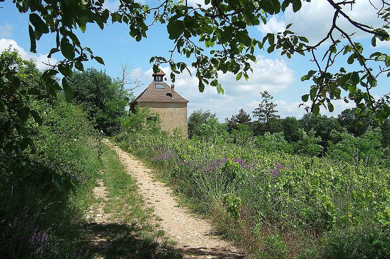2010-06- (176).JPG